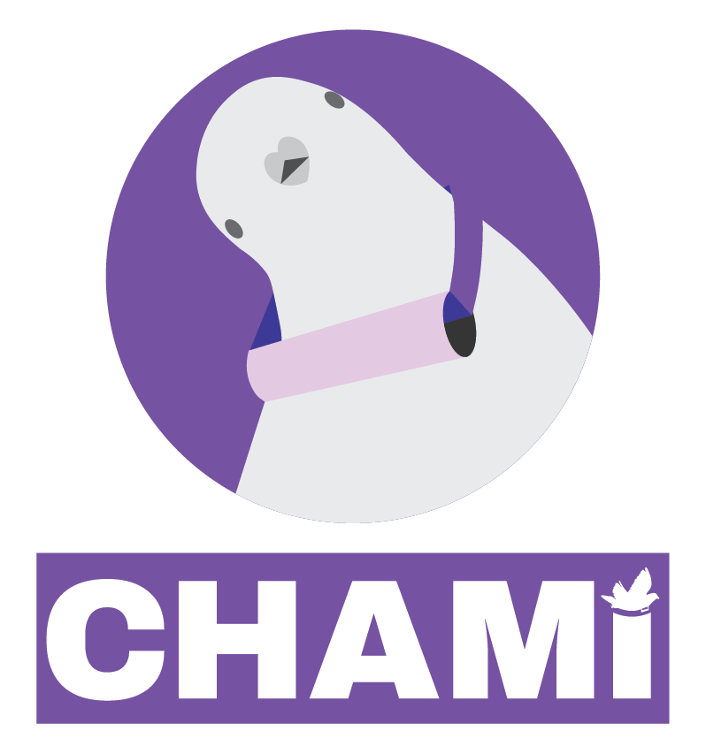 Chami Image Logo on top of Chami Text Logo